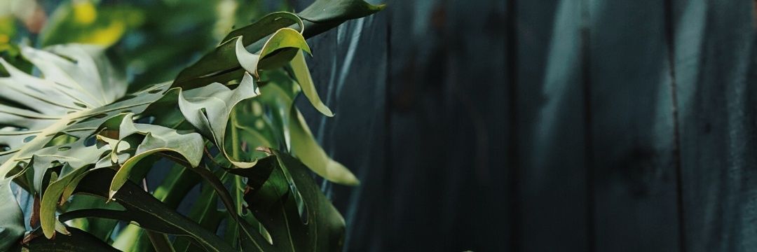 josecampo_a's profile banner image