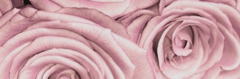 EboneyMorgann's profile banner image