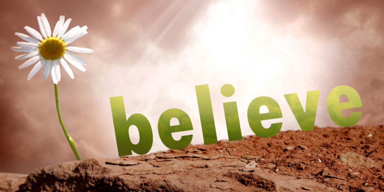 Michelle Vidotto banner