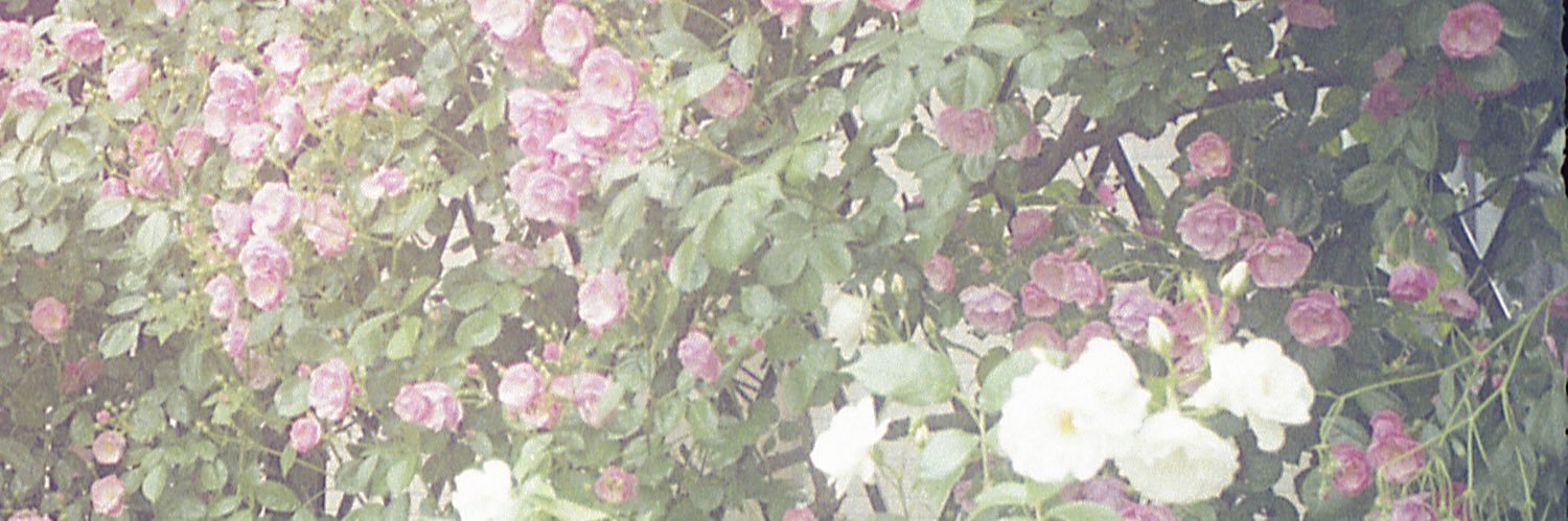 uminohana_'s profile banner image