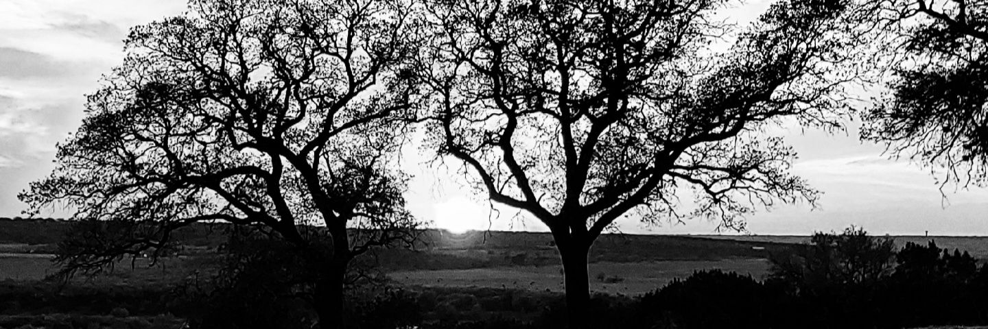 TinCanWin@mstdn.social banner