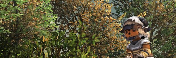 さめきち🐟 banner