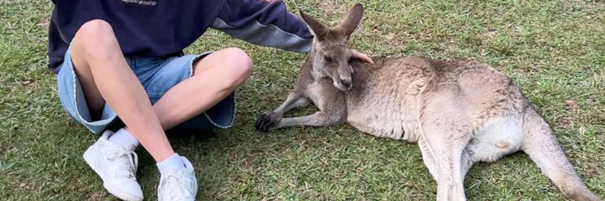 noa 🇵🇸🇨🇺 banner
