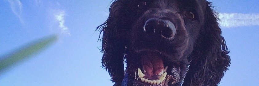 gembaaa's profile banner image