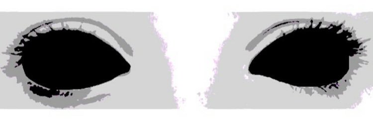 notwantedhere's profile banner image
