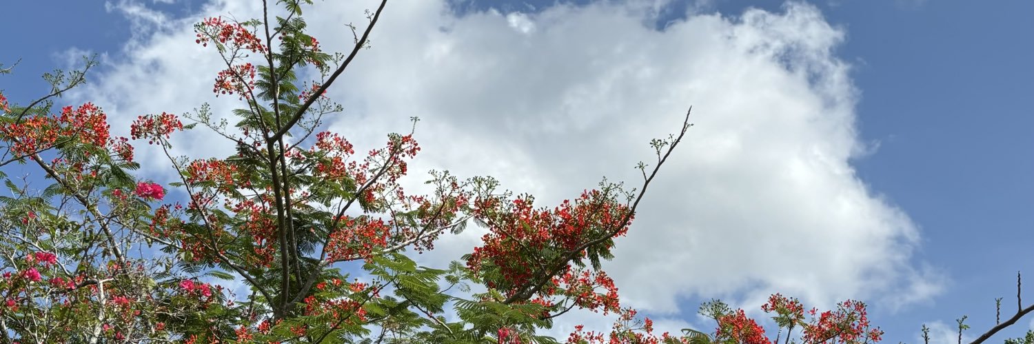 kdndpspt's profile banner image