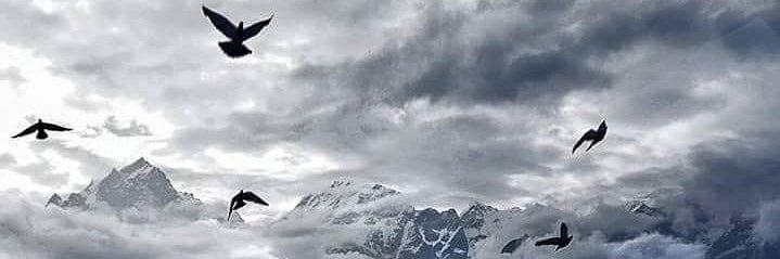 S banner