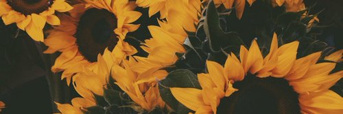 Sortant_'s profile banner image