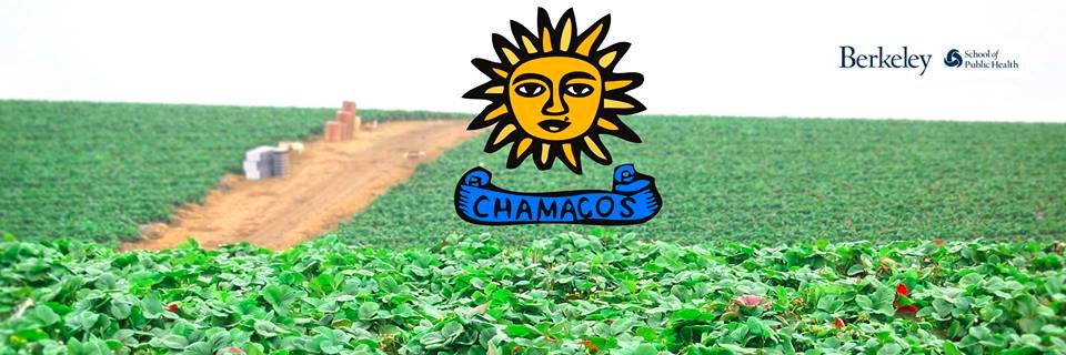 UCB CHAMACOS Study banner