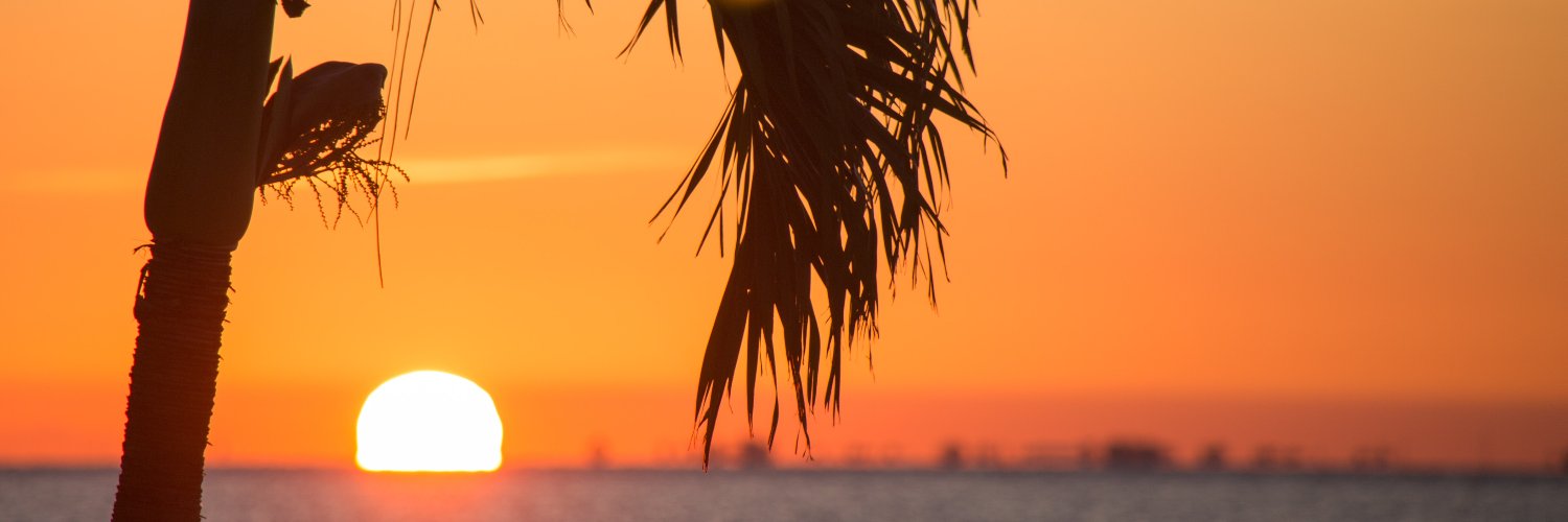 sunshinecindylu's profile banner image