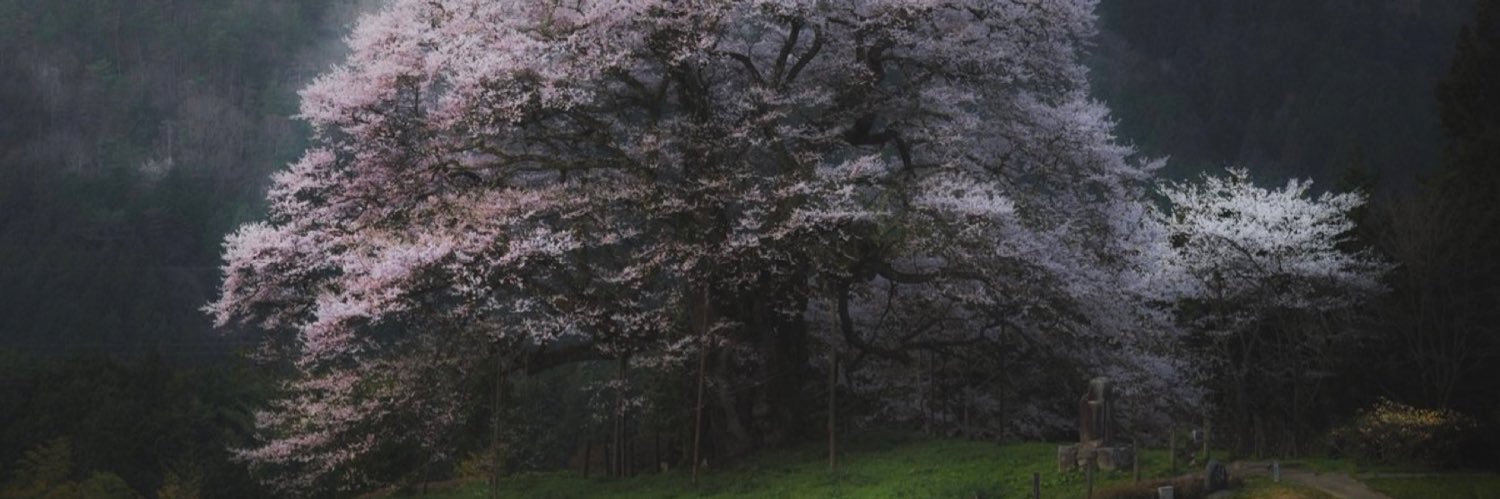 xCGG's profile banner image