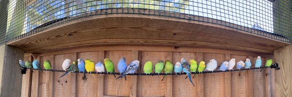 shchedrin Profile Banner