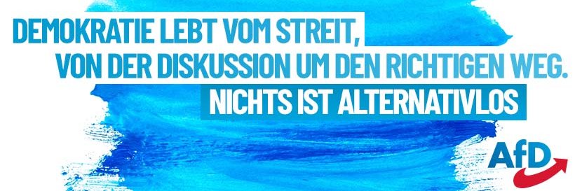 Ulrike Schielke-Ziesing,MdB banner