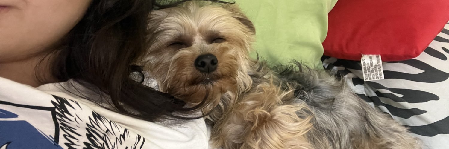 babivbs_'s profile banner image