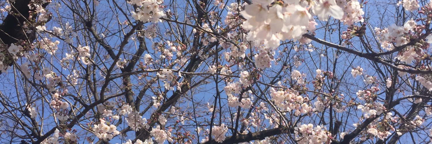 はるたろ。 banner