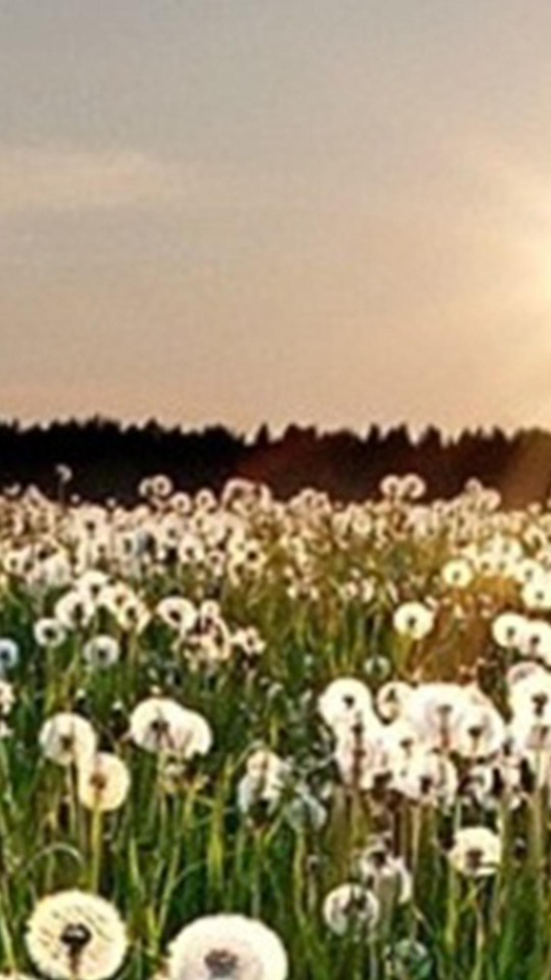adillars's profile banner image