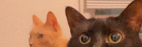 NeuroNerdo's profile banner image