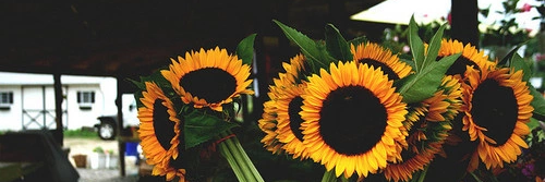 jaeyee_yey's profile banner image