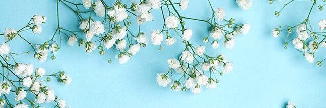 eelifcimm's profile banner image