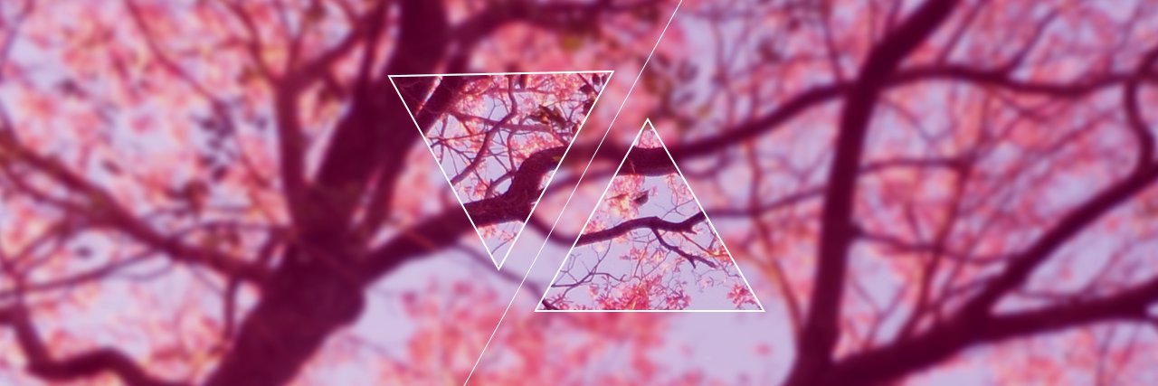 perticarinilutt's profile banner image