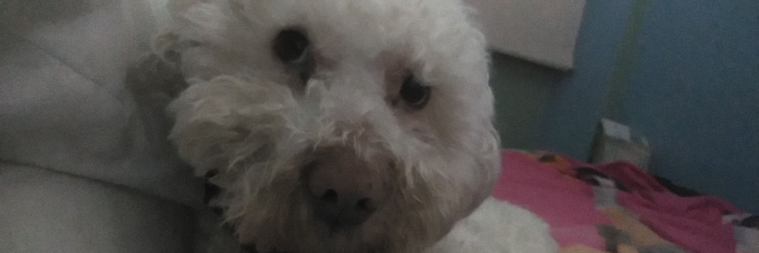 lilasuarez8's profile banner image