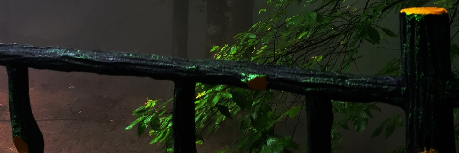 زوئی در زمین banner