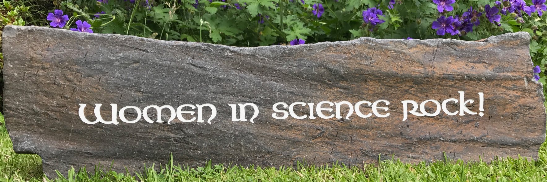 NovoScience's profile banner image