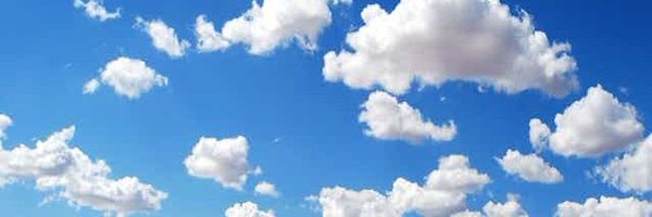 fuzzweed Profile Banner