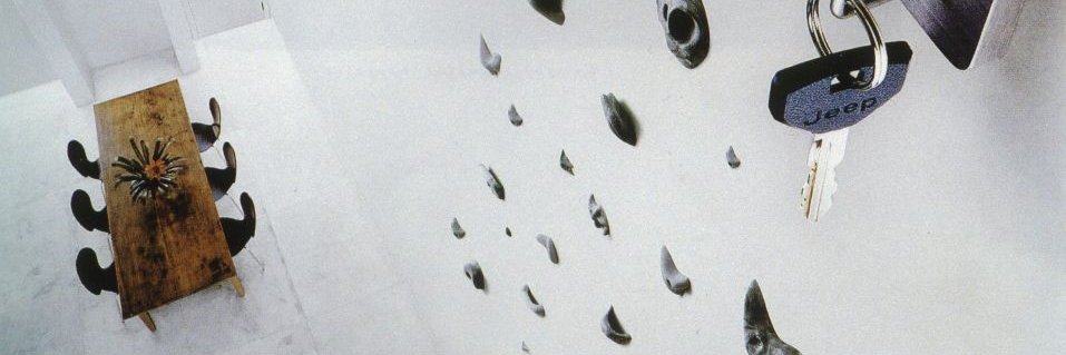 Maciej Tesławski banner