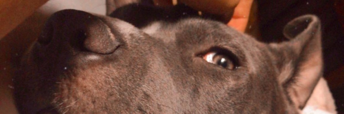 genesis_cast1's profile banner image