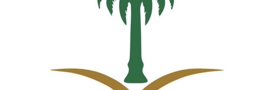 راصد البرق | GIS banner