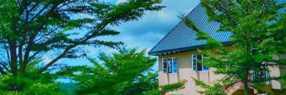 Arthur Jarvis University banner