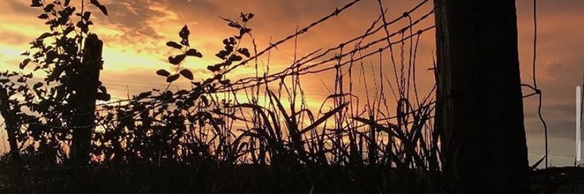 Leah_Schaefer31's profile banner image