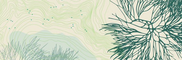 NICHE_Venice Profile Banner