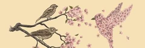 _IlseMR's profile banner image