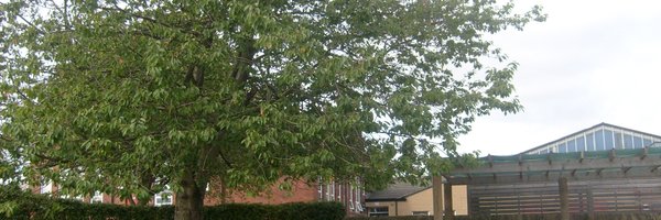 IntakeSchool Profile Banner