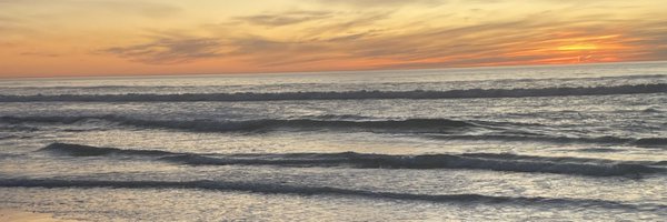 DayShuai Profile Banner