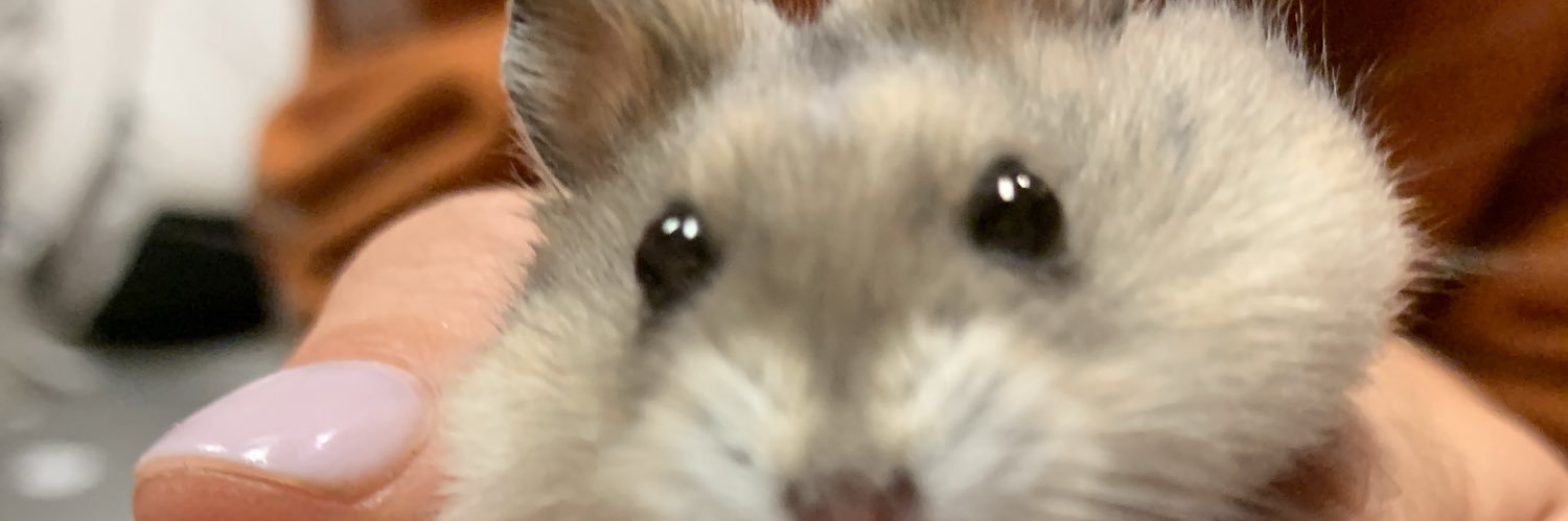 elliebean7's profile banner image