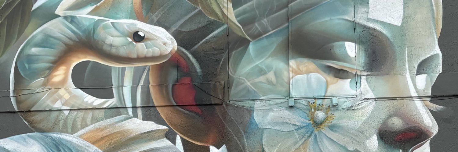 Deborah Gonzalez banner