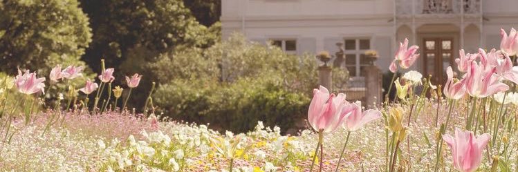 maritna2772's profile banner image