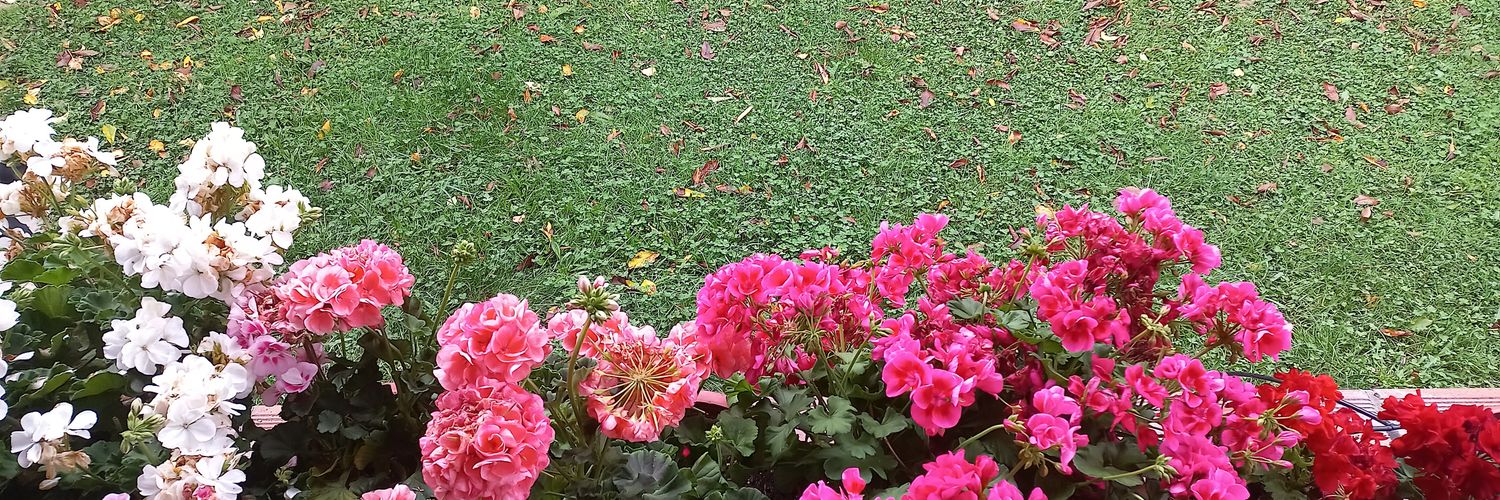 arbotante_'s profile banner image