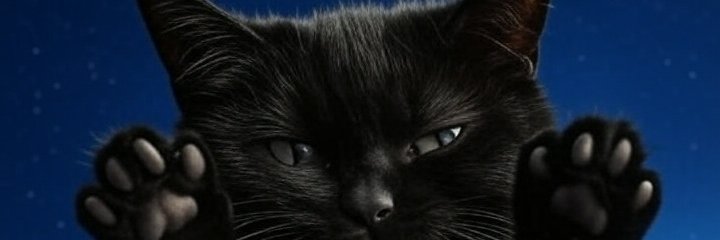 chon1024's profile banner image