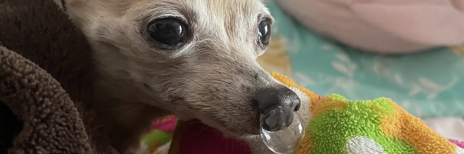 NeidyVega's profile banner image