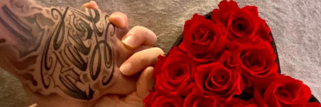 GiuliaBettelli's profile banner image