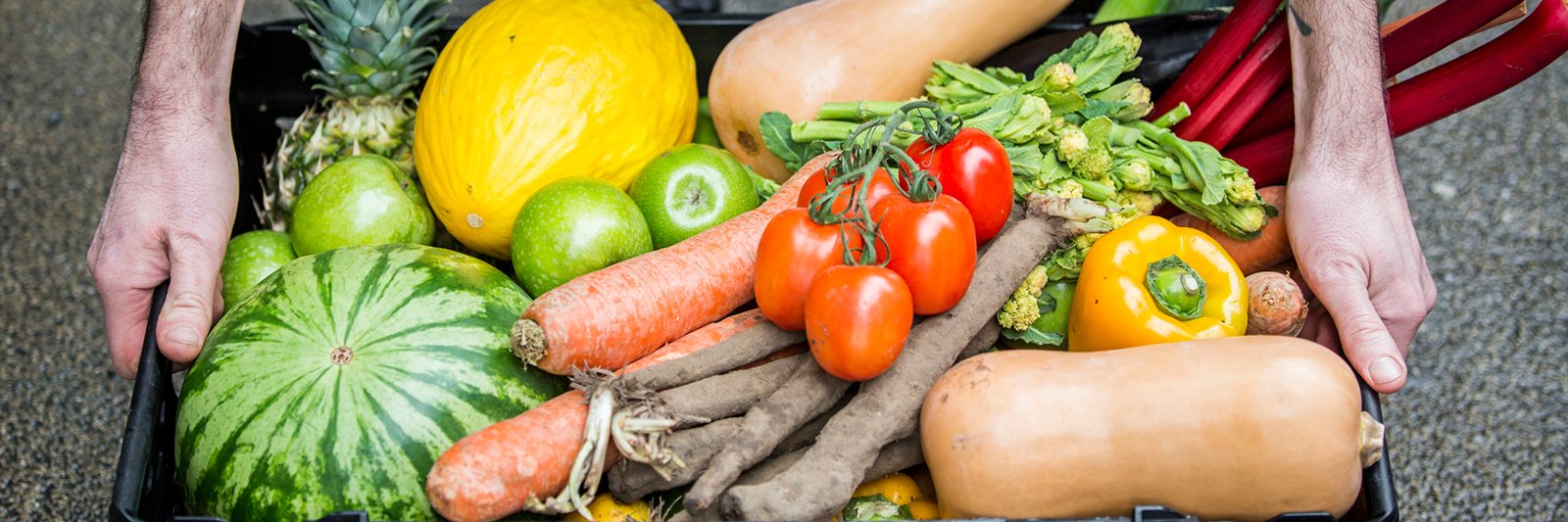 Live Well banner