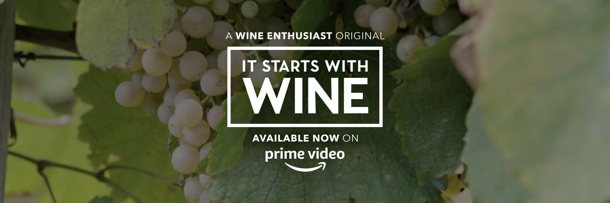 StartsWithWine's profile banner image