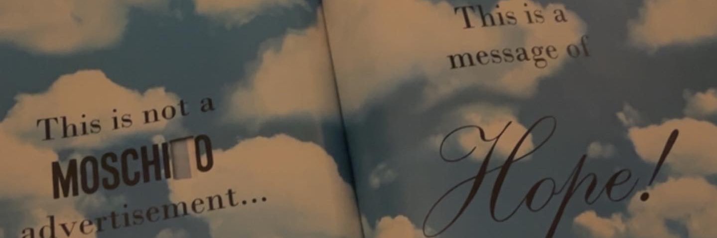 p1nknose's profile banner image