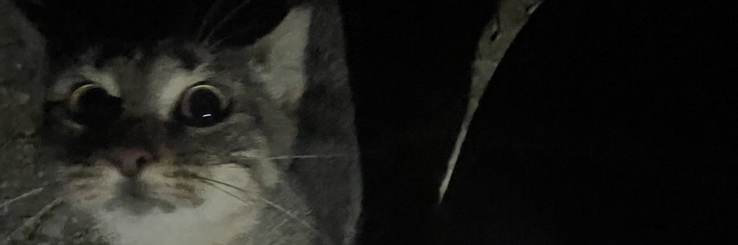 jan banner