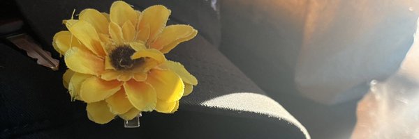SCRObaby Profile Banner