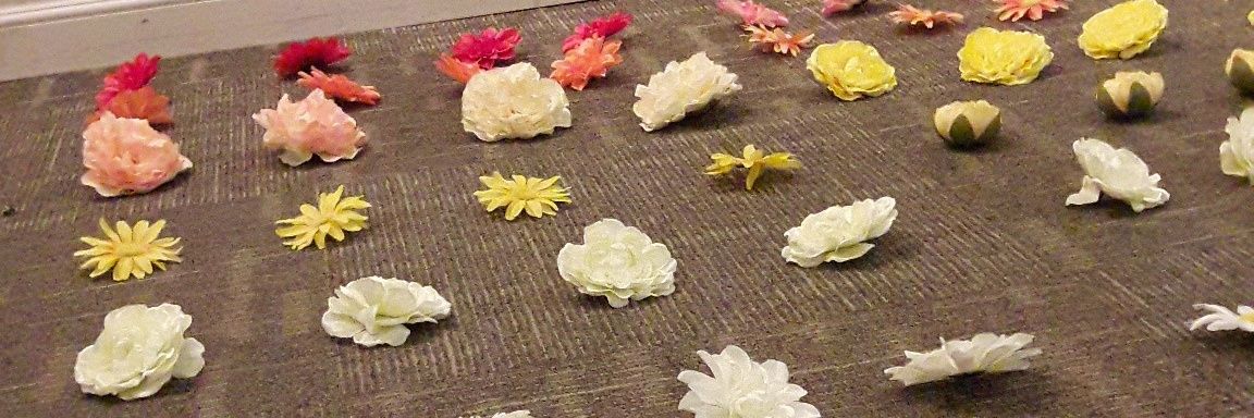 autumnsolis18's profile banner image
